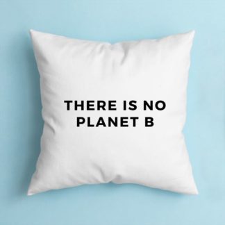 Cojín There is no planet B