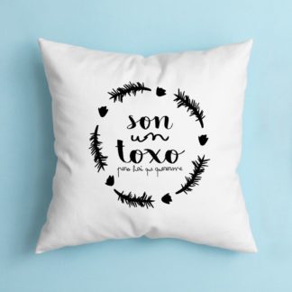 Cojín son un toxo